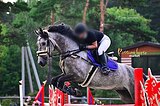 Конкур/Выездка!