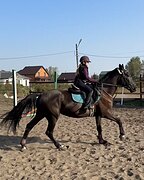 СТАРТУЕТ ПОД РЕБЕНКОМ