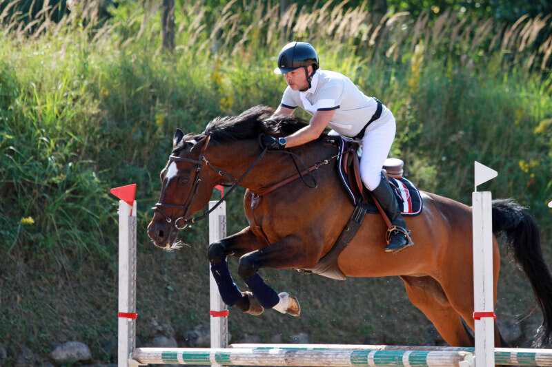 ЛАУРИССИН-04 и Строгонов Дмитрий