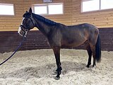 Универсальный хобби-класс