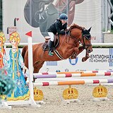 РЫЖАЯ КОБЫЛА 8 ЛЕТ