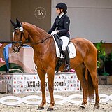 ИМПОРТ ИЗ ГОЛЛАНДИИ