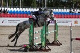 МАРШРУТЫ 120, СКОРОСТНОЙ