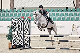 Кобыла 2016 гр, 172 вх