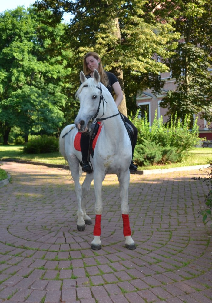 в графском парке (санаторий "Вороново")