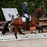 МЕРИН 10 ЛЕТ 180 СМ В ХОЛКЕ