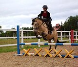 идеален под ребёнка, в иппо