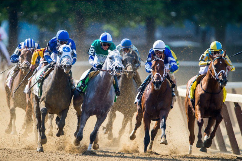 Ипподром Belmont Park, скачка Metropolitan Handicap (Gr. 1) 2016 год.