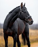 УЧИТЕЛЬ ПОД РЕБЕНКА