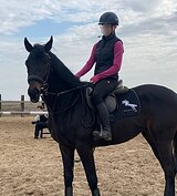 МОЛОДОЙ ЖЕРЕБЕЦ, ЗАЕЗЖЕН