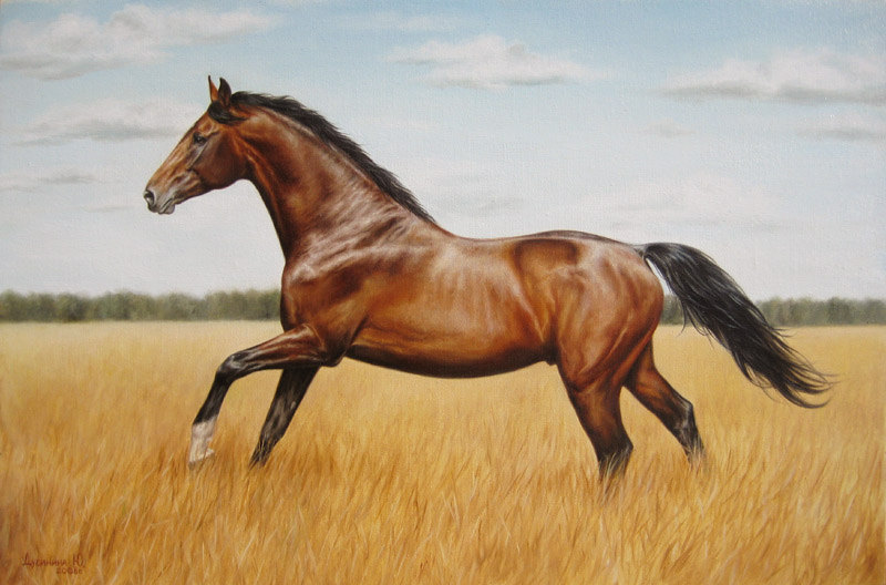 Масло, холст, 40*60 см. Образ лошади написан по  фото Алексии Хрущевой.  Работа продается, по всем вопросам обращайтесь в личку пишите на почту art-animal@mail.ru