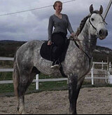 Огромный першероно-ториец