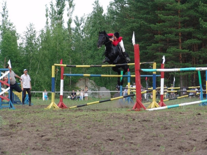 КСК Спартак лошадь Биполь Хреновского конезавода(высота 175)
