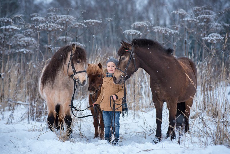 Фотограф: Любовь Успенская, запись по телефону 8 (926) 523 32 03 Татьяна