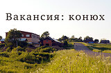 Требуется конюх