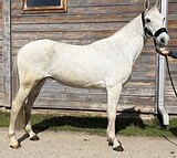 МАРШРУТЫ 80, ДЕТСКИЕ ЕЗДЫ