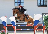 МАРШРУТЫ 125, ППЮ • ИМПОРТ