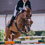 МАРШРУТЫ 135 KWPN