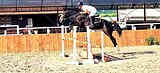 Император 