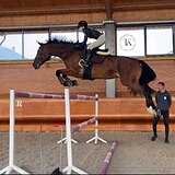 МАРШРУТЫ ДОМА 145 СМ