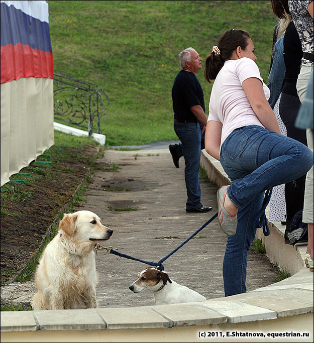 Зрители болеют ...