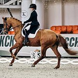 РЫЖАЯ ГАННОВЕРСКАЯ КОБЫЛА 