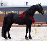 Перспективен в спорт