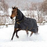 Попона Bucas (Ирландия) с капором зимняя, 145 см