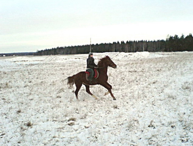 Галопчик