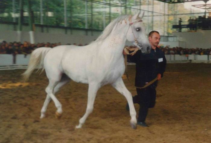 Фотка с мыльницы. Эквирос 2001 года