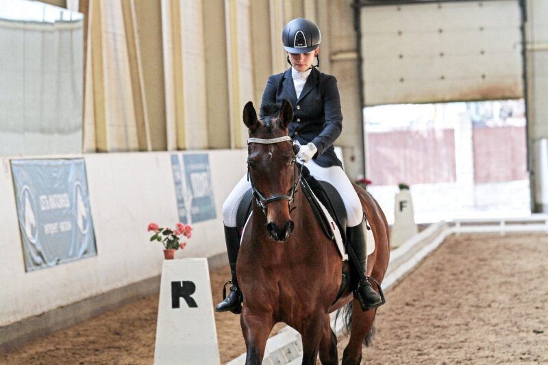 ВИД и Евдокимова Елена