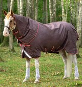 Попона с капором 100 гр, 145 см Amigo by Horseware