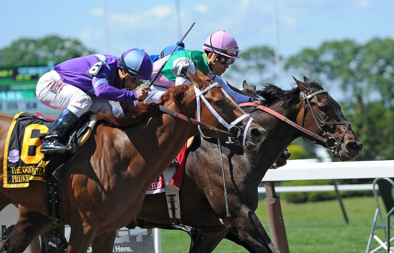 Ипподром Belmont Park 2014 год, скачка Ogden Phipps Stakes - Gr. 1