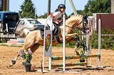 Спортивный пони-класс