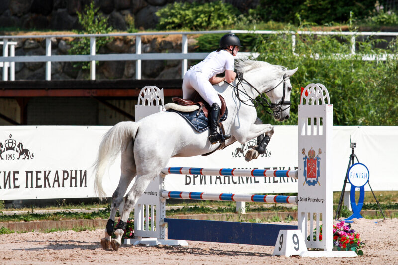 ГЭЛАКСИ Н и Старикова Ольга