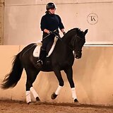 ВОРОНОЙ ЖЕРЕБЕЦ 7 ЛЕТ