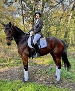 ПЕРСПЕКТИВНАЯ КОБЫЛА В ВЫЕ