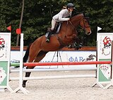МАРШРУТЫ 90-100 • 1/2 ИМПОРТ