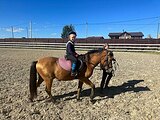 Мерин пони-класса