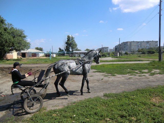 Выезжаем на дорожку