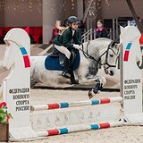 ПОНИ В КОНКУР И ВЫЕЗДКУ