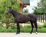 ЦЕНА СНИЖЕНА