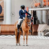 РЫЖАЯ КОБЫЛА 147 СМ В ХОЛКЕ