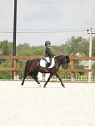 ПОНИ УЧИТЕЛЬ 