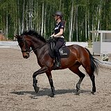 КОБЫЛА НА ЮНОШЕСКИЕ ЕЗДЫ