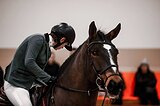 Джексон Вилль