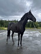 МАРШРУТЫ 130