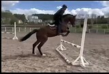 КОНКУР ПОД РЕБЕНКА