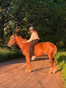 МАРШРУТЫ 50-70 • ПОД СЛАБОГО 