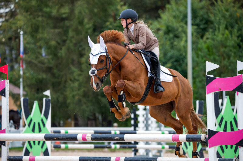 БИТКОИН-18 и Фукс Елизавета